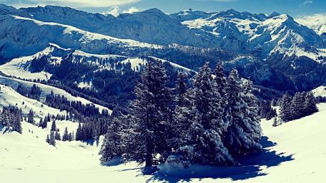 Snowy Mountain Vista with Evergreen Trees wallpaper