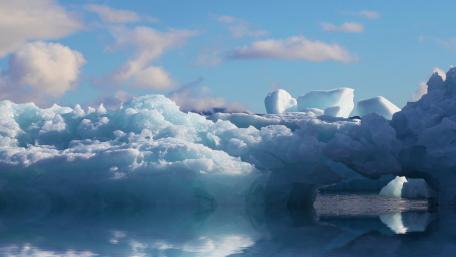 Frozen Serenity in Nature's Embrace wallpaper