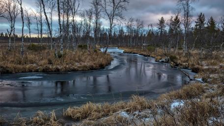Serene Winter Landscape by a Frozen Stream wallpaper