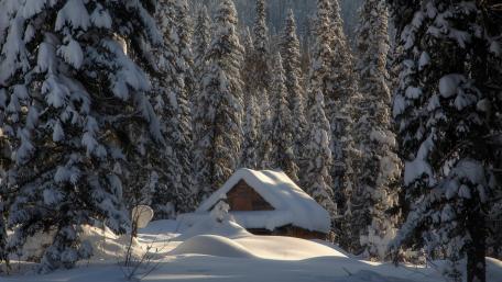 Winter Cabin Among Snowy Pines wallpaper