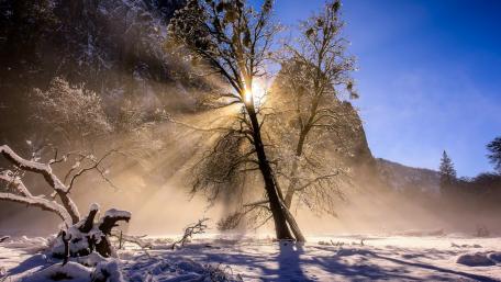 Winter's Embrace in Nature's Splendor wallpaper
