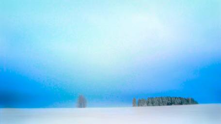 Serene Winter Landscape with Blue Hues wallpaper