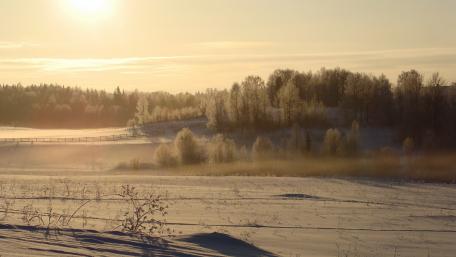 Serene Winter Landscape at Dawn wallpaper