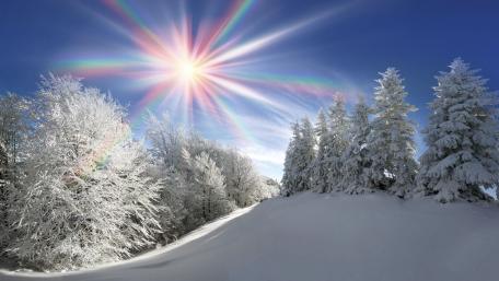 Winter Wonderland with Radiant Sunlight wallpaper