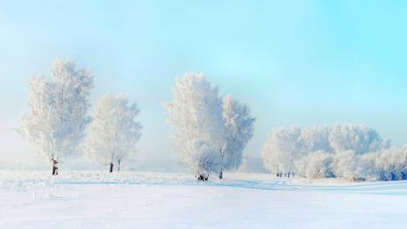 Winter Wonderland Blanketed in Snowflakes wallpaper