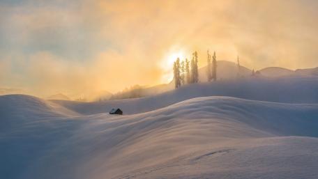 Winter Serenity in a Snowy Landscape wallpaper