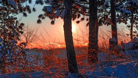 Winter Sunset Serenity in Nature wallpaper