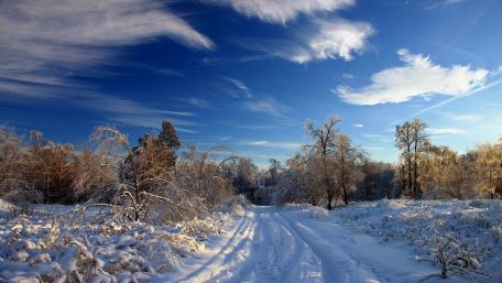 Winter Wonderland Serenity wallpaper