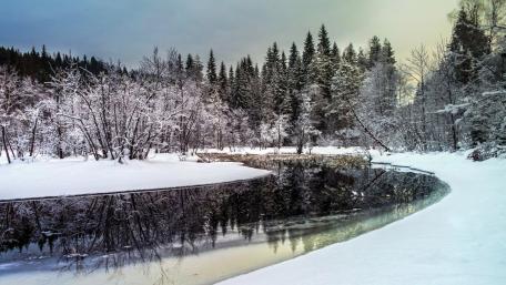Tranquil Winter Landscape with Snowy Trees and Reflective Water wallpaper