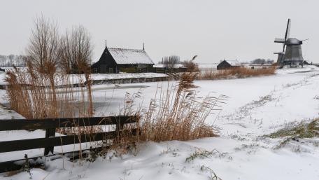 Winter Serenity in the Dutch Countryside wallpaper