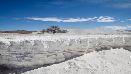 Desolate Beauty of White Landscapes wallpaper