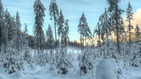 Serene Winter Wonderland Scene wallpaper