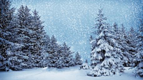 Winter Wonderland Scene Filled with Snowflakes wallpaper