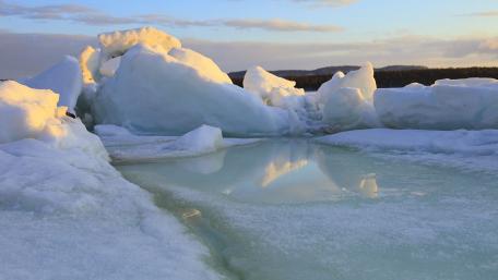 Frozen Serenity Captured in Nature's Beauty wallpaper
