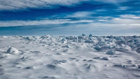 Frozen Serenity in an Endless Landscape of Snowy Bliss wallpaper