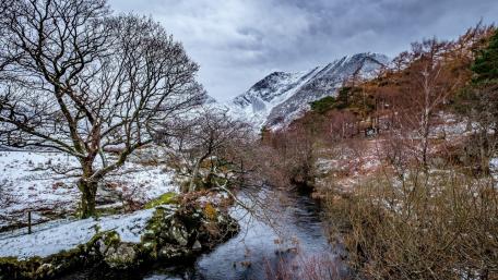 Winter Serenity in the Mountains wallpaper