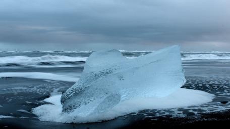 Frozen Beauty on the Shoreline wallpaper