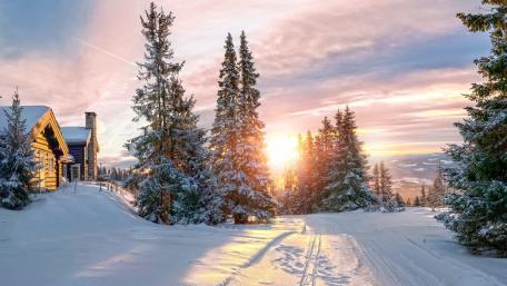 Winter Cabin Serenity Amidst Snowy Pines wallpaper