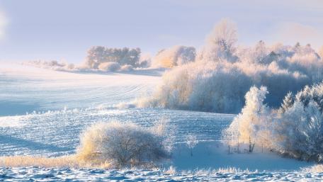 Serene Winter Landscape with Frosty Trees and Fields wallpaper