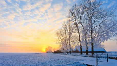 Winter Sunrise Over Frosty Fields and Trees wallpaper