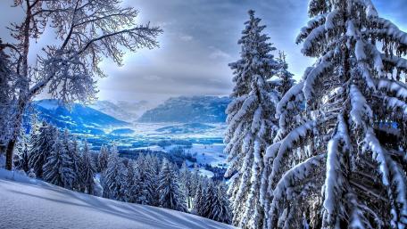 Winter Wonderland Serenity in Nature's Embrace wallpaper