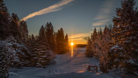 Serene Winter Sunrise Over Snowy Landscape wallpaper