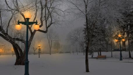 Winter Wonderland in Soft Glow wallpaper