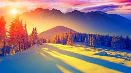 Vibrant Winter Wonderland at Sunrise wallpaper
