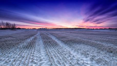 Frozen Serenity at Dawn wallpaper