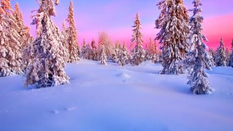 Winter Wonderland at Sunset wallpaper
