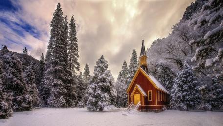 Forest chapel wallpaper