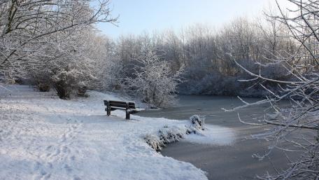 Winter Wonderland by the Frozen Lake wallpaper