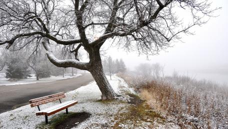 Serene Winter Landscape with Snowy Trees and Bench wallpaper