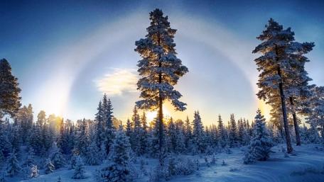 Serenity in a Snowy Landscape wallpaper