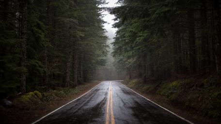 Misty Forest Roadway Inviting Adventure wallpaper