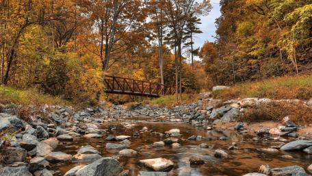 Autumn Bliss Over a Tranquil Stream wallpaper