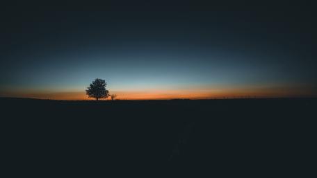 Dusk's Lone Sentinel Against Twilight Hues wallpaper