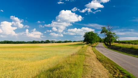 Serene Countryside Landscape with Golden Fields and Blue Sky wallpaper