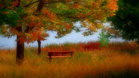 Tranquil Autumn Retreat by the Water wallpaper
