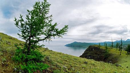 Tranquil Lake View Surrounded by Lush Greenery wallpaper