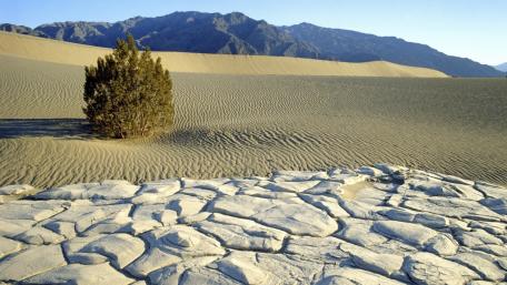 Desolate Beauty of the Desert Landscape wallpaper