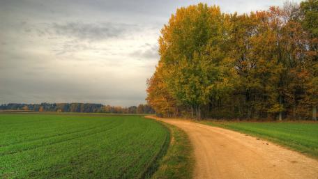Autumn Serenity in Nature's Embrace wallpaper
