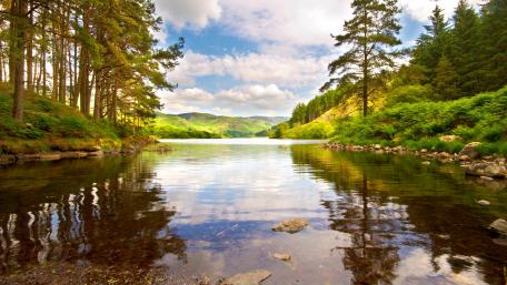 Serene Lakeside Retreat in Nature's Embrace wallpaper