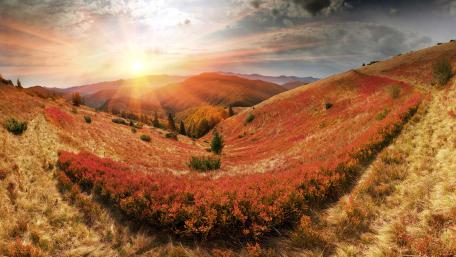 Majestic Autumn Valley Displaying Nature's Beauty wallpaper
