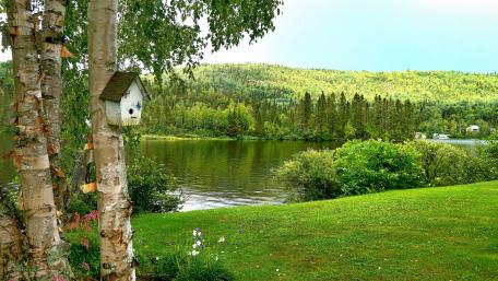 Serene Lakeside Retreat in Nature's Embrace wallpaper