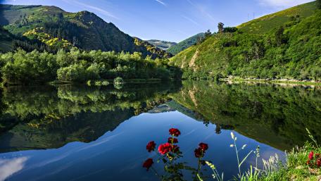 Tranquil Reflections in Nature's Canvas wallpaper