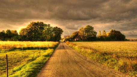 Serene Country Path Under Dramatic Skies wallpaper