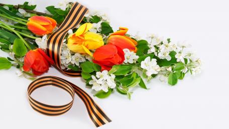 Vibrant Floral Celebration Wallpaper wallpaper