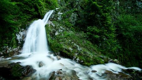 Serenity of a Cascading Waterfall wallpaper