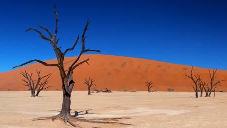 Desolate Beauty of the Desert Landscape wallpaper